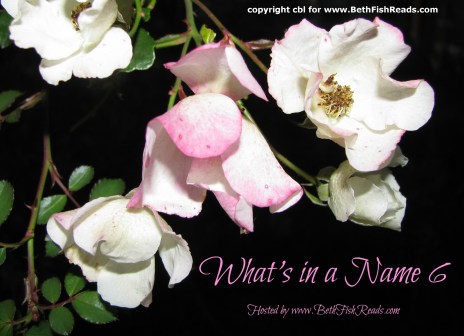 2013 what's in a name 6